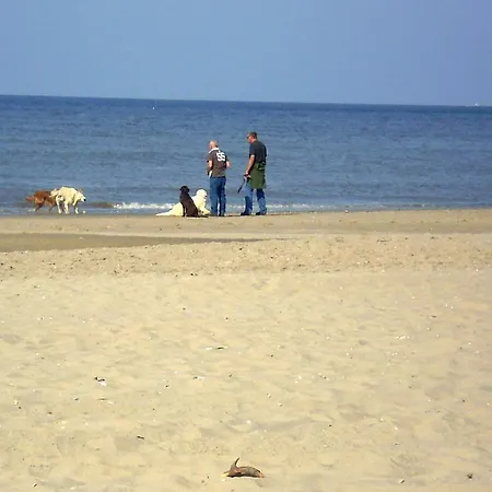 Holiday home Holiday Stern.4 Noordwijk